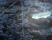 《冰是睡着的水》经典观后感集