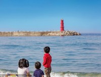 《守望灯塔》读后感精选