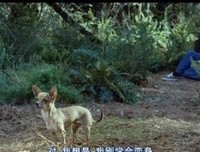 《暮色大电影》经典观后感集