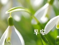 细读感伤——小说的优美句子