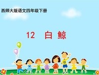 最新的《白鲸》好段摘抄