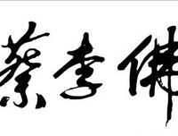 《蔡李佛拳》经典观后感1000字