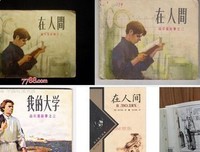 《人间一趟》读后感精选