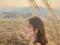 《爸爸妈妈，请做我的摄影师》读后感锦集