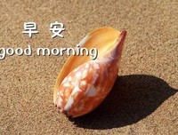 关于深思熟虑的唯美语录