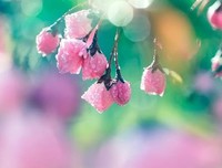 许岁月回眸，愿初心依旧