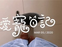 布吉岛句子