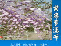 《孤独小说家》句子大全