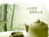 言情小说摘抄好词好句