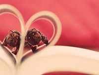 最经典的春暖花开精彩语录