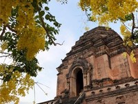 一起去旅游：去海边、去山区、去滑雪读后感精选