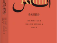 火：鲁米抒情诗读后感100字