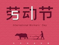 《只是丢了手机而已》读后感锦集