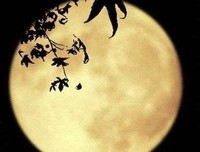 眼人时之月那也她发着以才上的优美句子