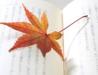 伤痕下的倔强句子