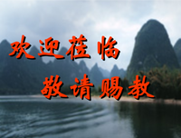 那些活了很久很久的树读后感1000字