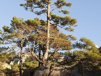 《有光亮的地方就会有阴影》读后感锦集