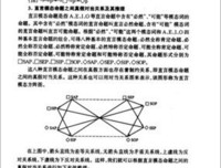 《三个逻辑学家去酒吧》读后感1000字