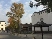 《南京城》经典影评有感