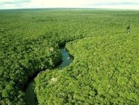 有关瓦尔登湖的句子