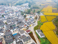 认识新发展阶段，贯彻新发展理念，构建新发展格局