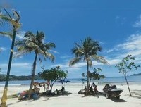 有关布吉岛的名言