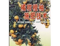 《没有橘子，就来颗柠檬吧》读后感1000字