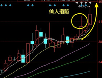 优雅，从姿势开始经典读后感有感