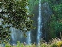 《美在广西》经典观后感1000字