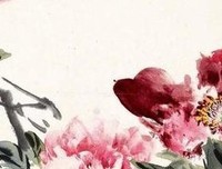 《掉队的拉美》读后感锦集