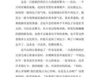 噗噗音乐会读后感100字