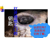 锲而不舍的句子