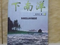 《下南洋》经典观后感有感
