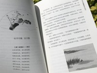 半世烟雨，半世落花：李清照词传读后感1000字