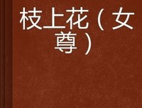 关于女尊小说写作的优美句子