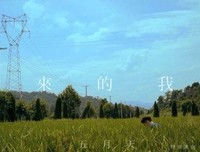 突然好想你优美的句子