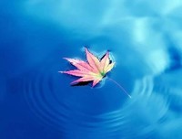 越走越顺的人生，离不开这四点