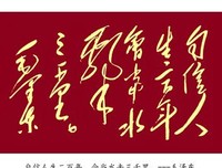 《毛泽东诗词赏读 最新整编合集（含书法）》读后感100