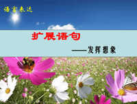 高考是一种情怀句子大全