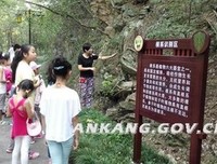  捕虫袋里的“可持续发展”