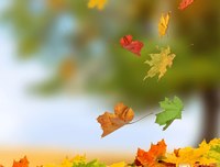 慈心优美的句子