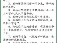 杂乱的好句优美的句子