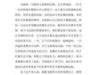 鸽子隧道读后感精选