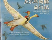 《到未来去》读后感100字