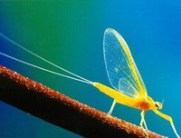 人生三足：知足、知不足、不知足