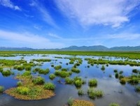 净土在妙明真心内，却在凡夫八识妄心外