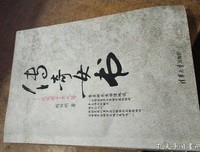 《传奇女书——花蹊君子女九簪（修订版）》读后感摘抄