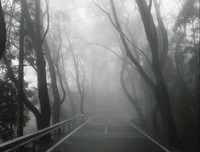 《烟雨蒙蒙》经典观后感有感