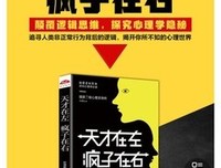 《天才在左，疯子在右》读后感锦集
