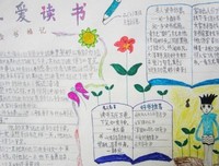 我爱的，不敌你爱的优美的句子